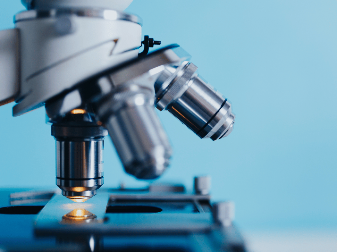 analisi microscopio leishmaniosi